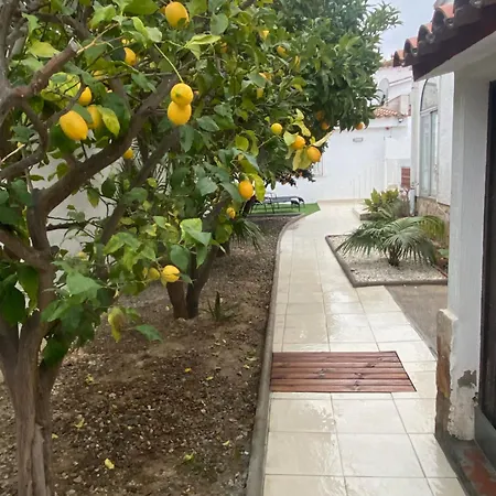 Maison Avec Jardin A 400 M De La *